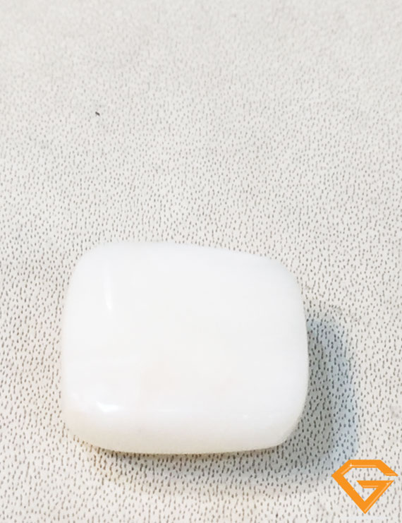20.50 ratti/18.67 ct Natural Certified  White Coral/सफ़ेद मूंगा